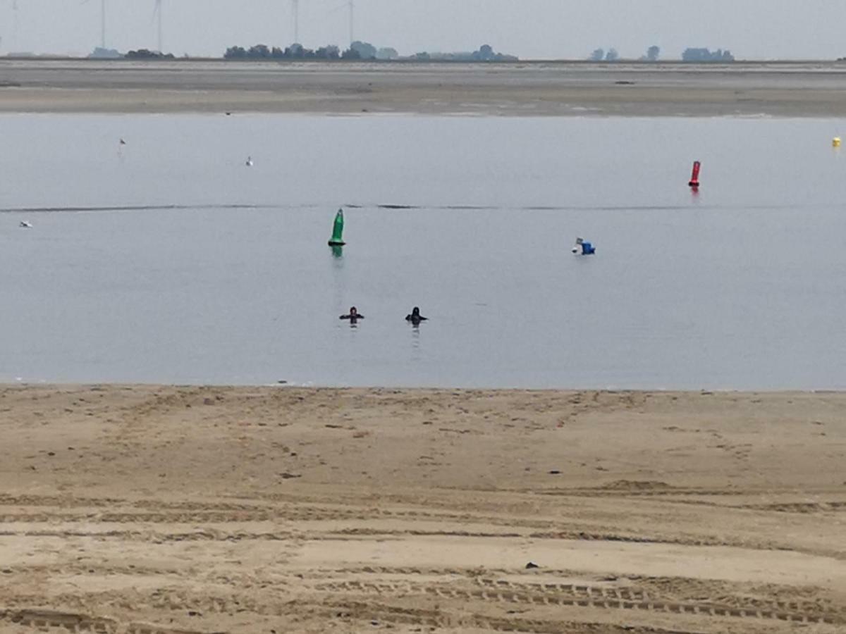 Chalet Stalland Sint Annaland Bagian luar foto